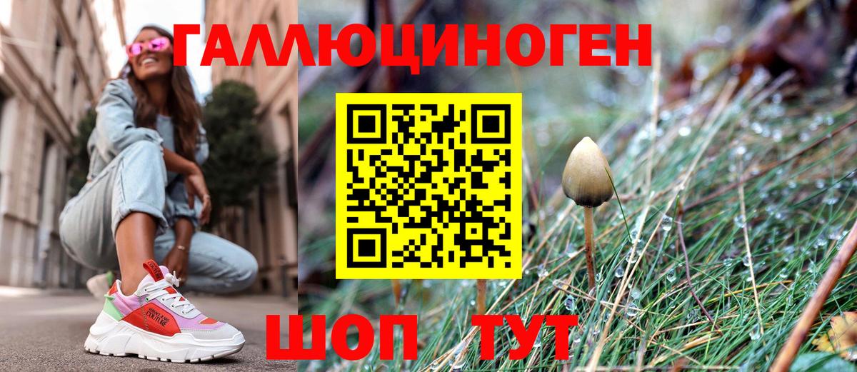 Симферополь  Псилоцибиновые грибы Psilocybine cubensis  Вход с VPN 